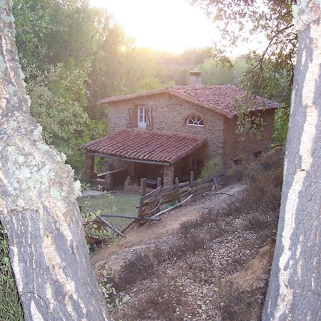 Гостевой дом Casas El Alamillo- El Castanero Галароса Экстерьер фото