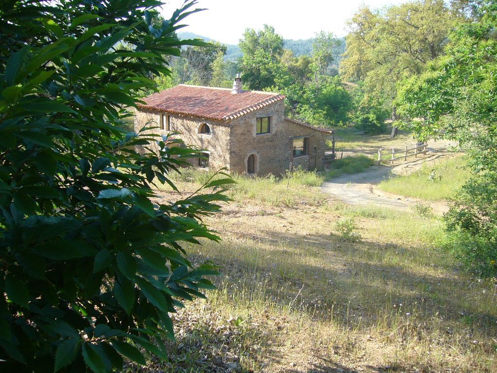 Гостевой дом Casas El Alamillo- El Castanero Галароса Экстерьер фото